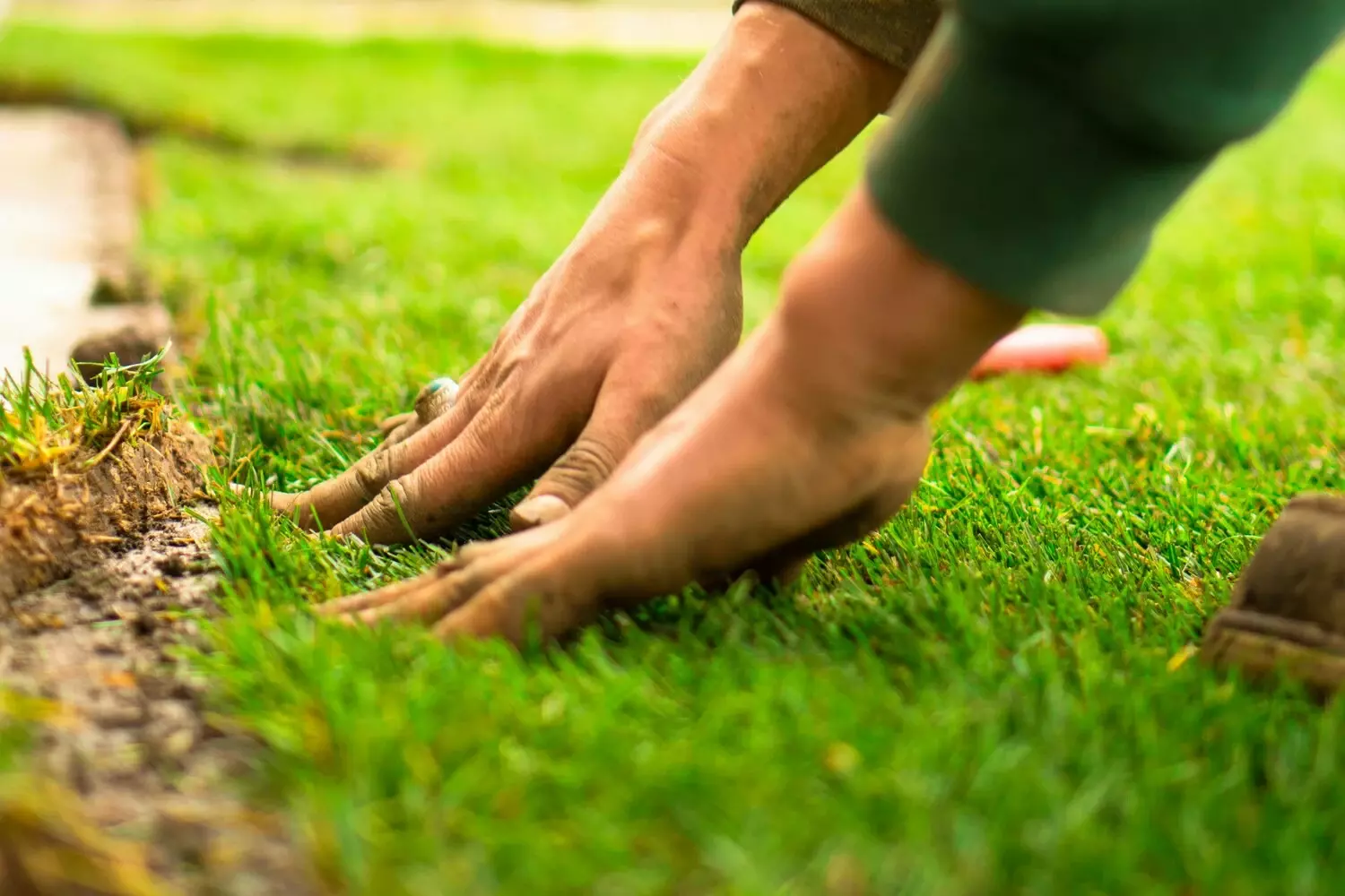 Tuinaannemer legt levend groen aan met planten en heesters