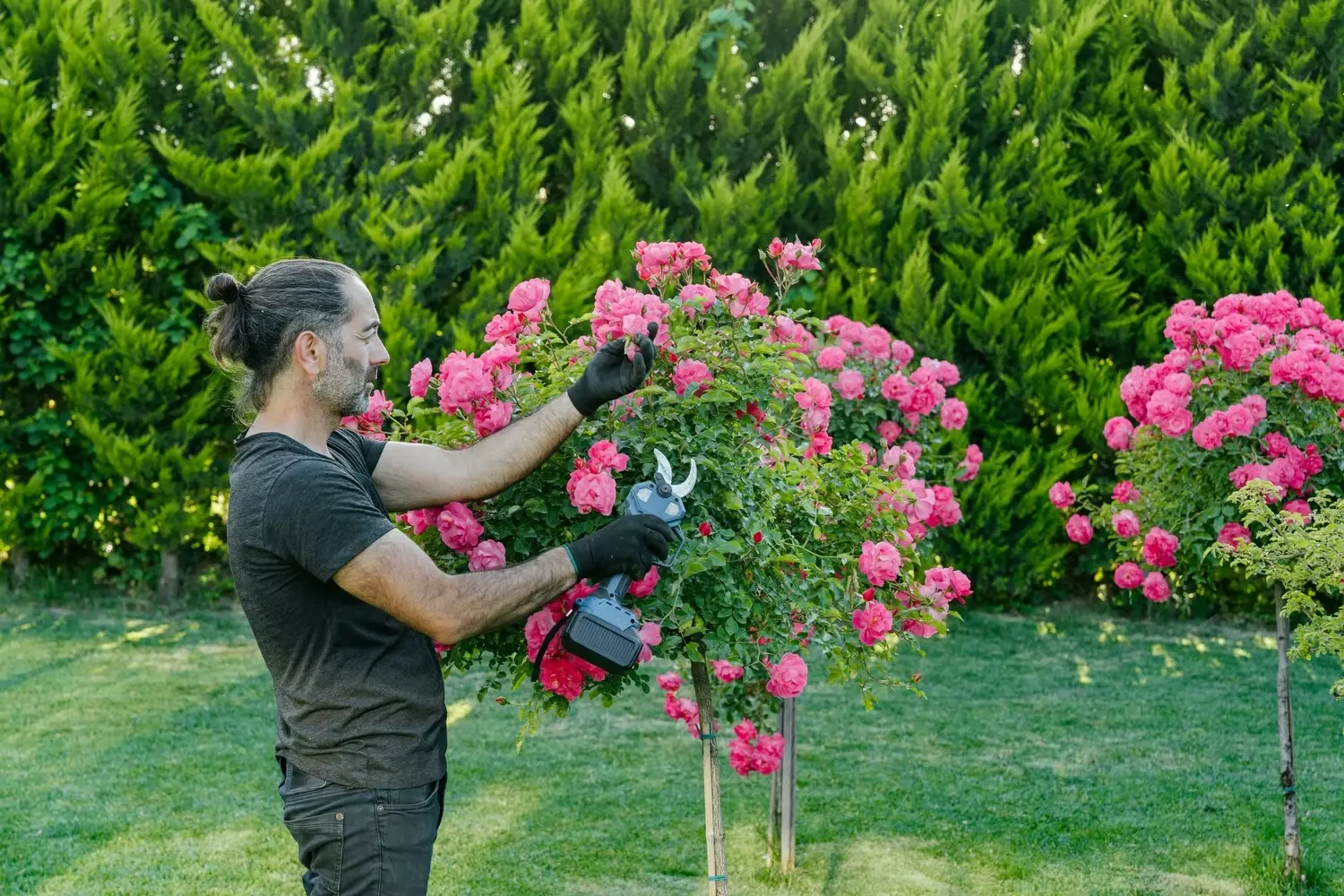 Tuinaannemer voert seizoensgebonden tuinonderhoud uit in een weelderige tuin
