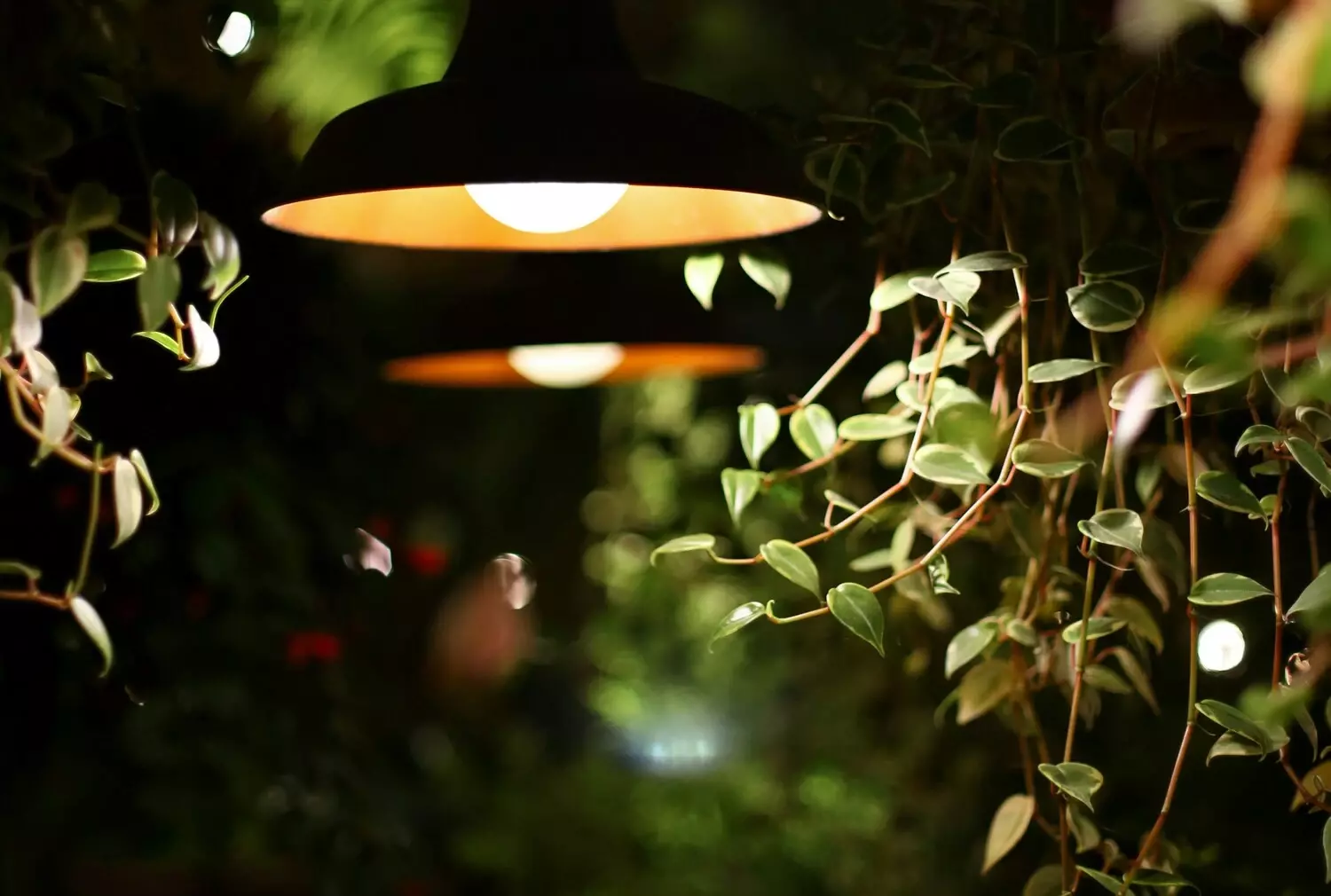 Professionele tuinverlichting verlicht een sfeervolle avondtuin